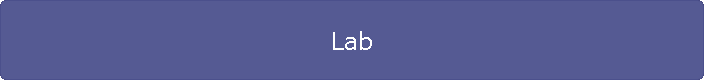 Lab