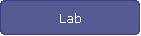 Lab